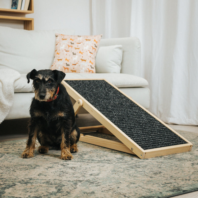 Original Mondi - Dog ramp - adjustable in size