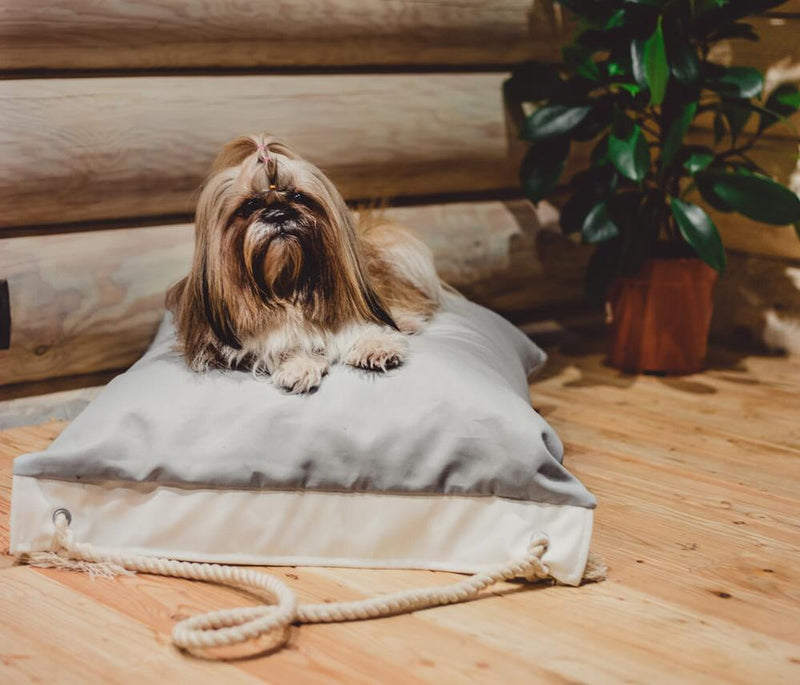Igy - Dog cushion / dog bed