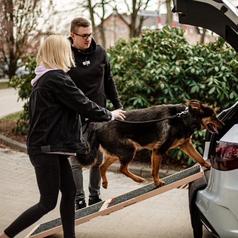 Hondenloopplank voor in de auto - in hoogte verstelbaar