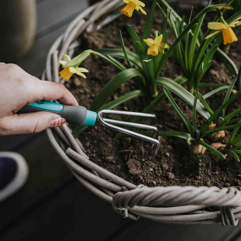 Ensemble d'outils de jardin